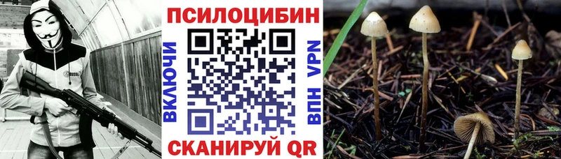 блэк спрут   Новоалтайск  Псилоцибиновые грибы MAGIC MUSHROOMS 