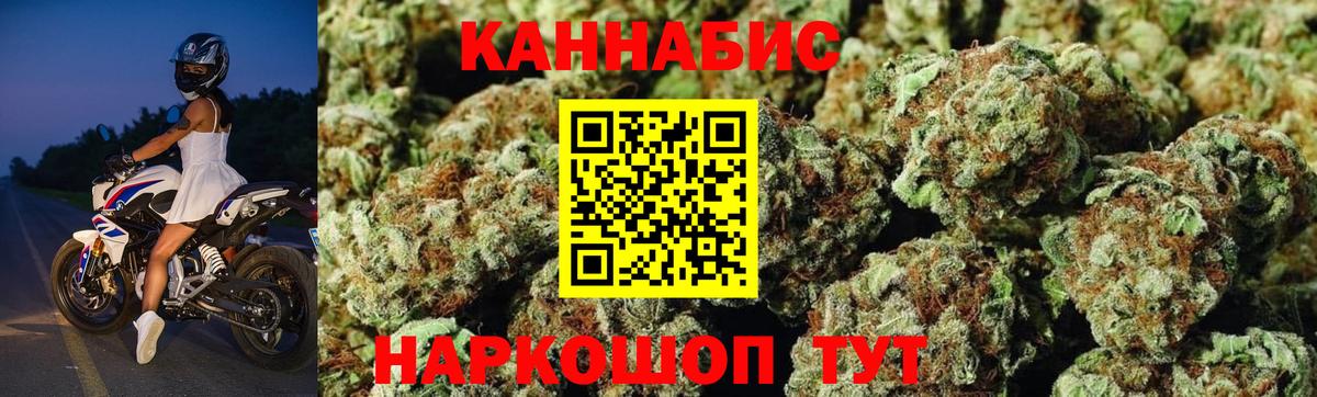Бошки марихуана OG Kush Новоалтайск